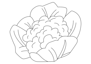 Chou-fleur 01 - Coloriages fleurs, fruits et légumes - Coloriages - 10doigts.fr